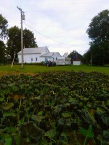 Dale Williams family farm upstate NY