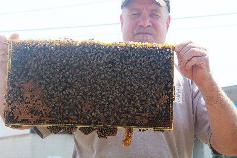 long island beekepping supplies